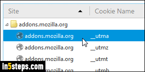 Clear cookies in Firefox - Step 6