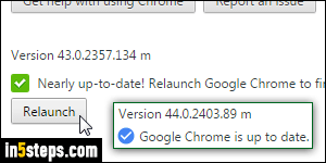 Update Google Chrome - Step 5
