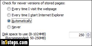Clear IE browsing history cache - Step 2