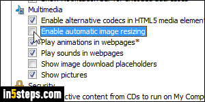 Disable image auto-resizing in IE - Step 4