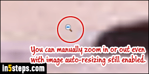 Disable image auto-resizing in IE - Step 5