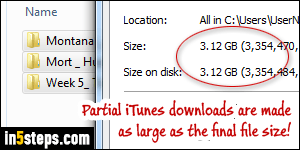 Delete partial iTunes downloads - Step 2