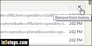 Clear cache in Opera - Step 3