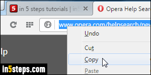 Add custom search engine to Opera - Step 5
