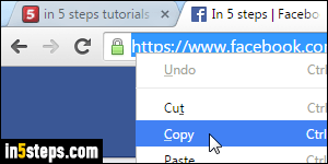 Create Facebook like box - Step 2