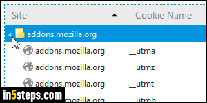 Clear cookies in Firefox - Step 1