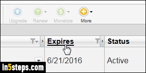 Check GoDaddy domain expiration date - Step 3