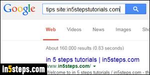 Google search a single site - Step 2