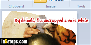 Crop an image in MS Paint - Step 4