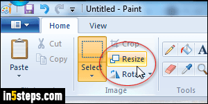 paint.net resize selection