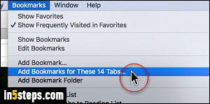 Set multiple tabs as homepage in Safari - Step 2